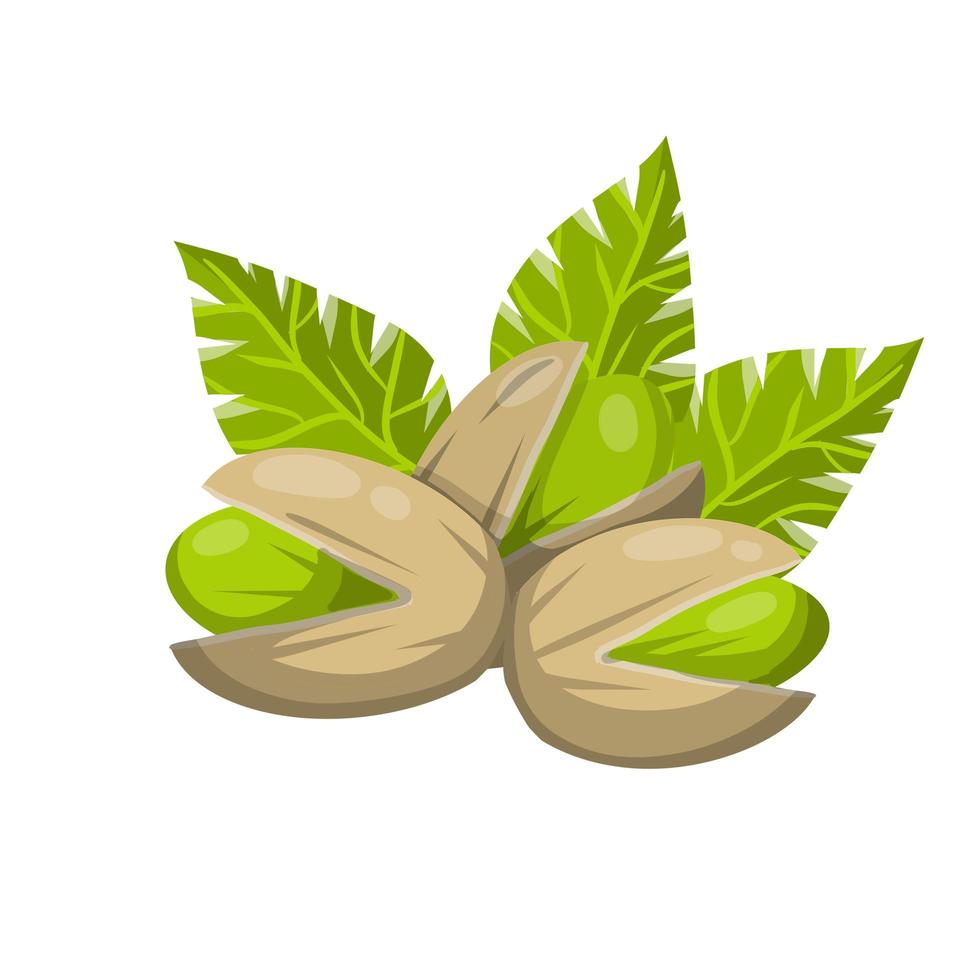 pistachenoten. vector groene noten in hun schelpen.