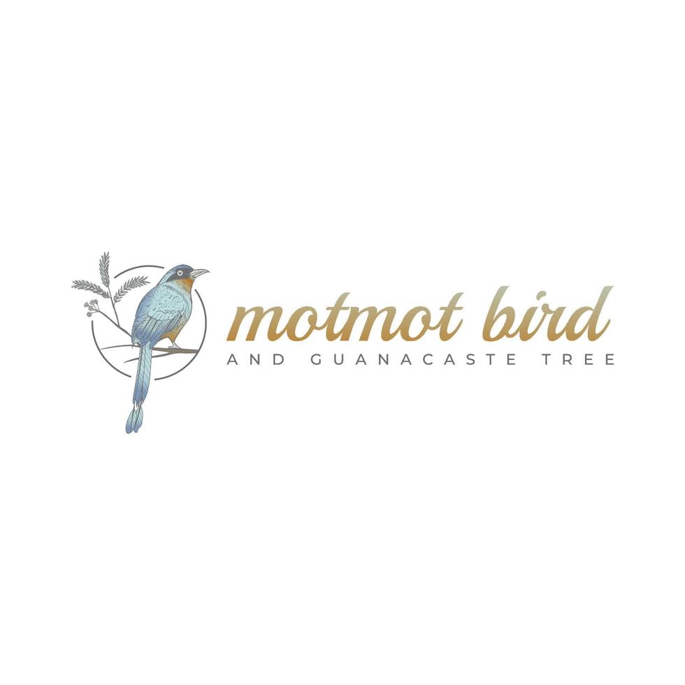 motmot vogel en guanacaste boom hand getekende logo afbeelding vector