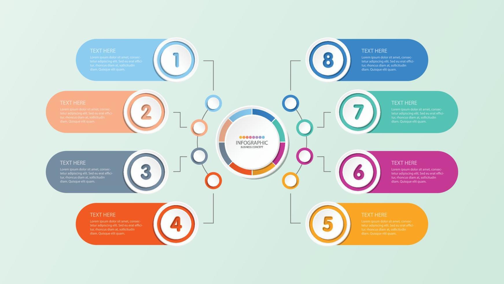 basiscirkel infographic sjabloon met 8 stappen, proces of opties, procesgrafiek. vector