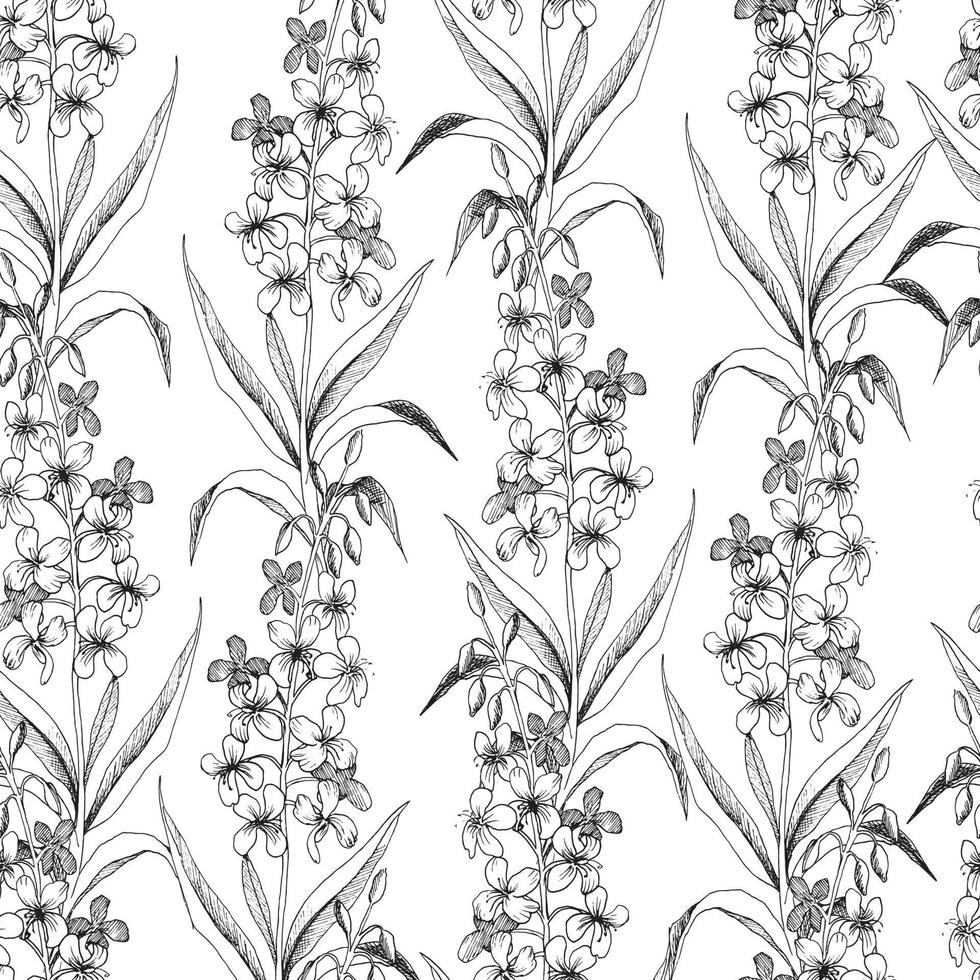 naadloze vector botanische patroon met schetsen van harige willowherb planten op witte achtergrond. bloemen en kruiden. voor textiel, stoffen, hoezen, behang, print, cadeauverpakking