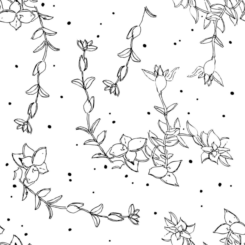 vierkant naadloos patroon met succulent crassula perforata. bloemen eenvoudige achtergrond voor textiel, briefpapier, inpakpapier, covers. doodle vectorillustratie voor decor en design. vector