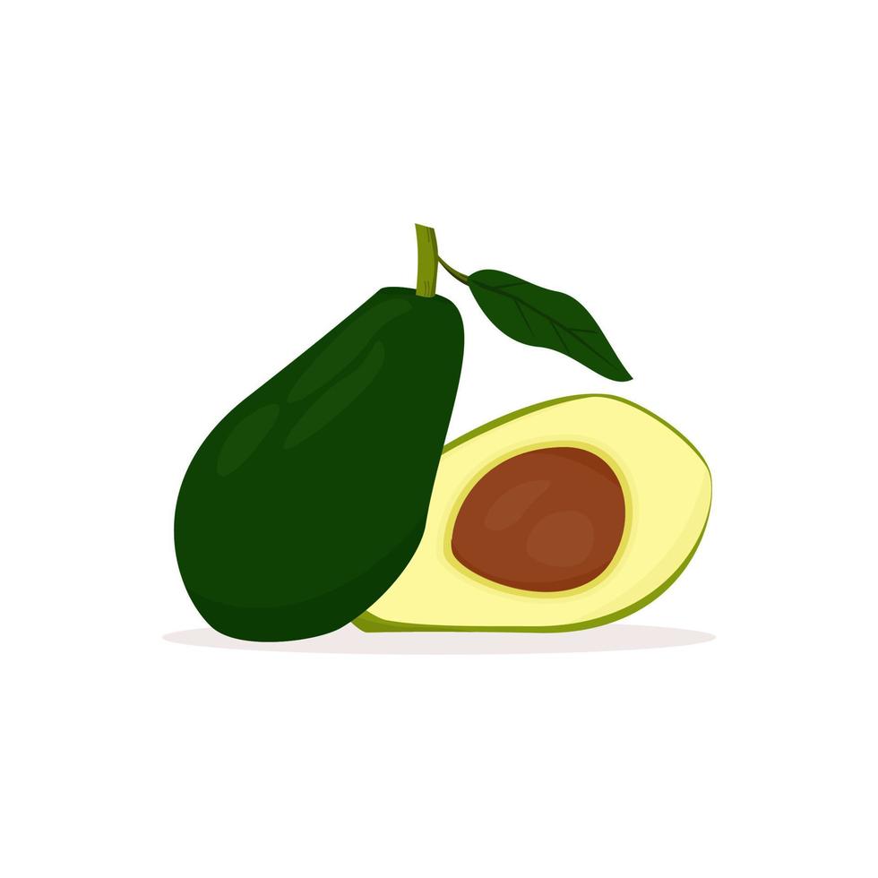 zeer verse groene avocado vector