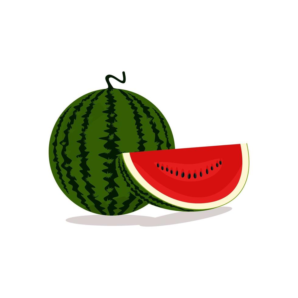 verse rode watermeloen vector smaakt zoet