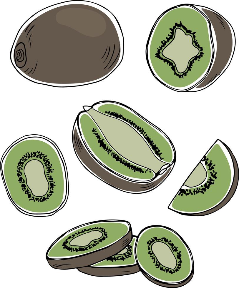 vector set van kiwi's. geheel, gehalveerd en plakjes in kleurrijke doodle stijl geïsoleerd op een witte achtergrond. vector illustratie