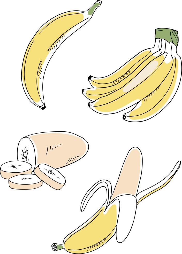 kleurrijke set van bananen, geheel, bos gesneden en geschild, geïsoleerd op een witte achtergrond. cartoon handgetekende stijl. vector illustratie