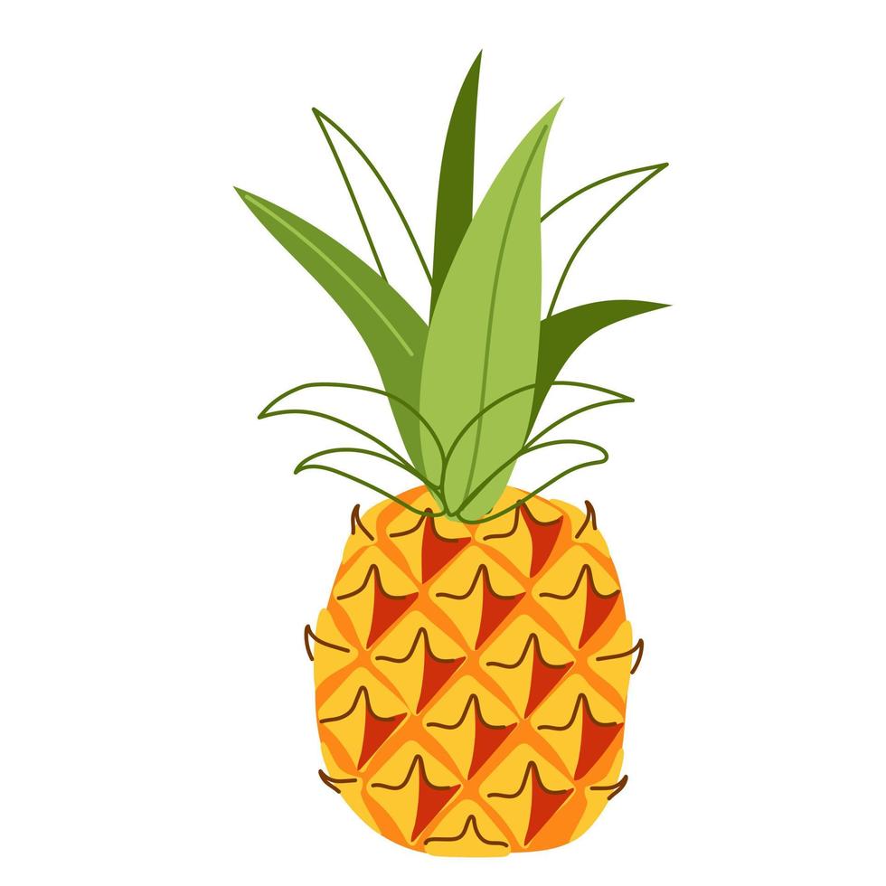 exotisch ananasfruit in een handgetekende stijl vector