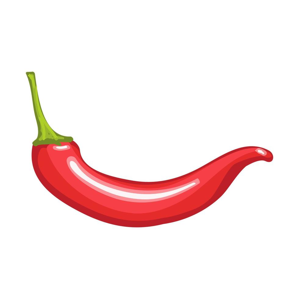 Chili peper illustratie geïsoleerd op een witte achtergrond vector