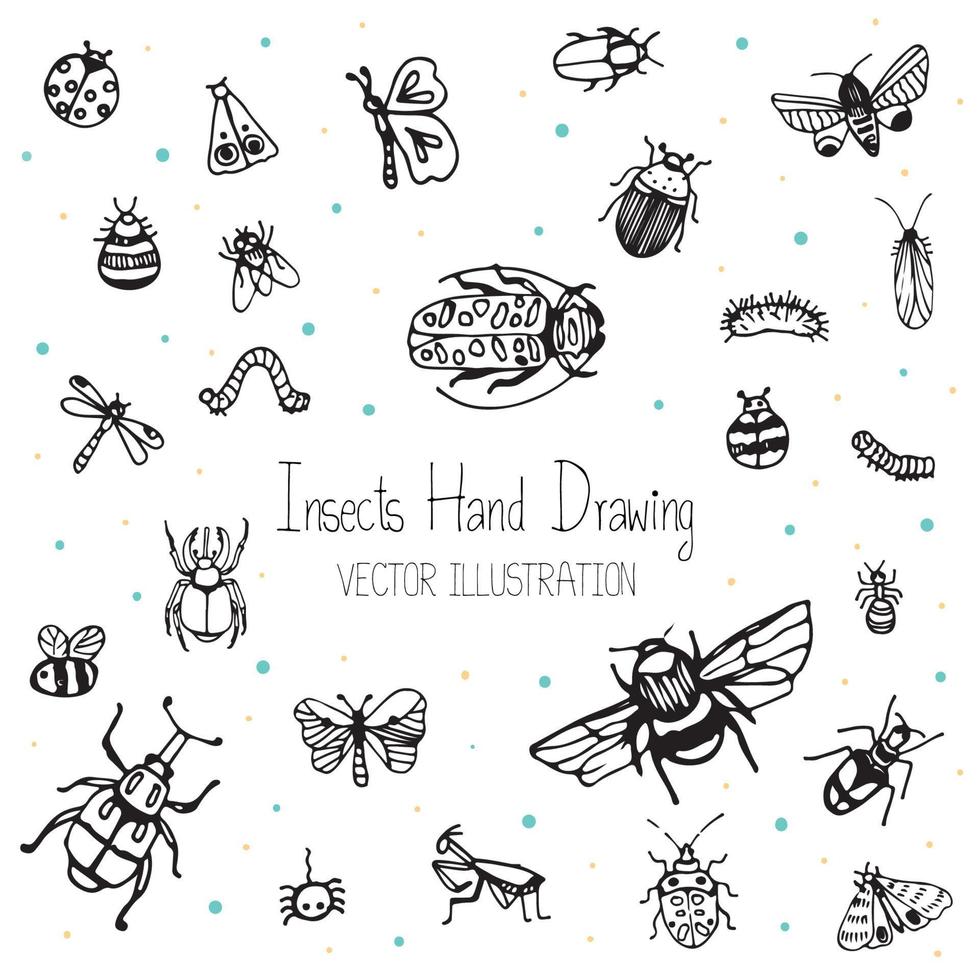 schattige kinderen met de hand getekende sets 26 soorten insecten, insecten, kevers en bijen, vectorillustratie om af te drukken, achtergrond en onderwijs. vector