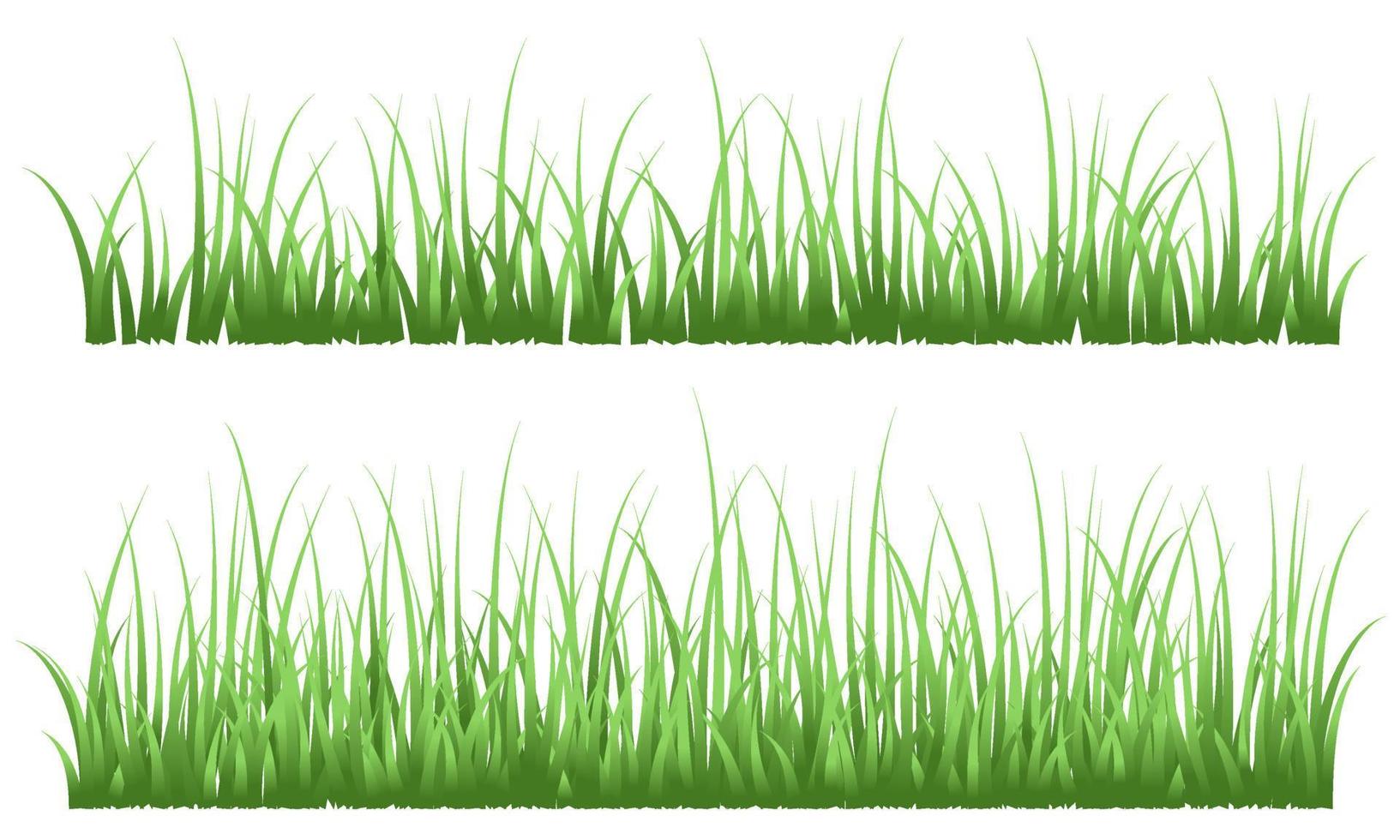 gras, realistisch gras vector