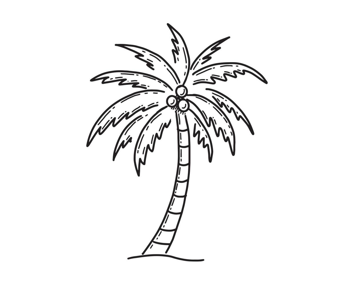 palm tropische boom hand getekende illustratie. vector