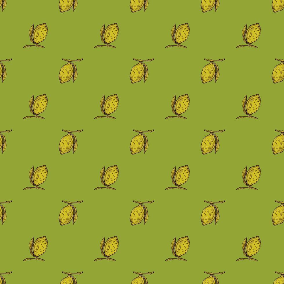 naadloze patroon citroen op tak met bladeren gravure. vintage achtergrond van citrusvruchten in de hand getekende stijl. vector