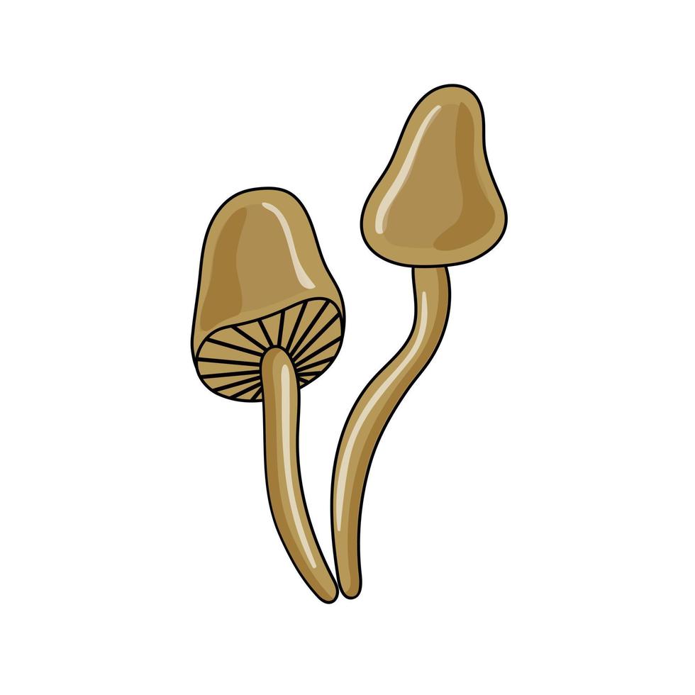 bos giftige vectorpaddestoelen. vectorillustratie in cartoon-stijl. vergif. paddenstoelen. vector