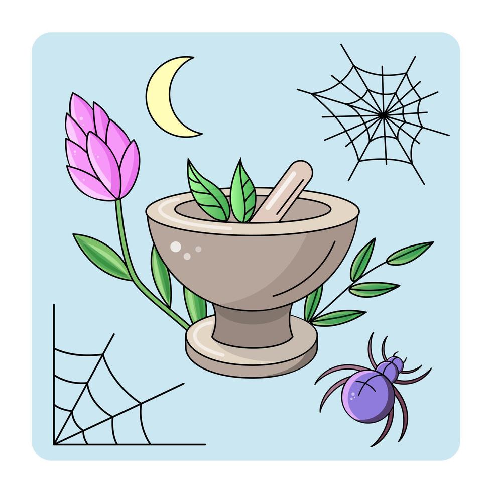 schattig mystieke icoon. cartoon kleurrijke magische elementencollectie. kawaii astrologie iconen van vijzel en stamper, spinneweb, spin, wassende maan, kruiden, bloemen vector spullen.