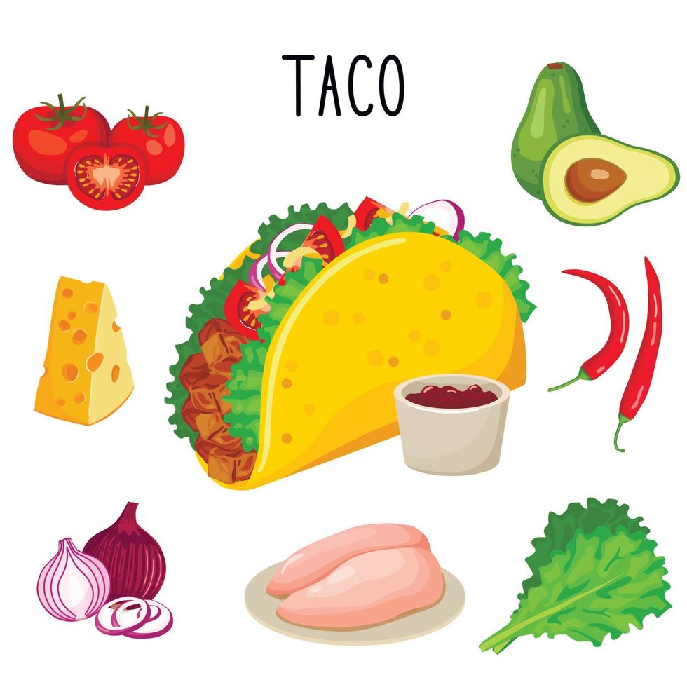taco met verschillende ingrediënten vectorillustratie. poster met taco's, kip, ui en chili, kaas en tomaat. Mexicaans eten. vector