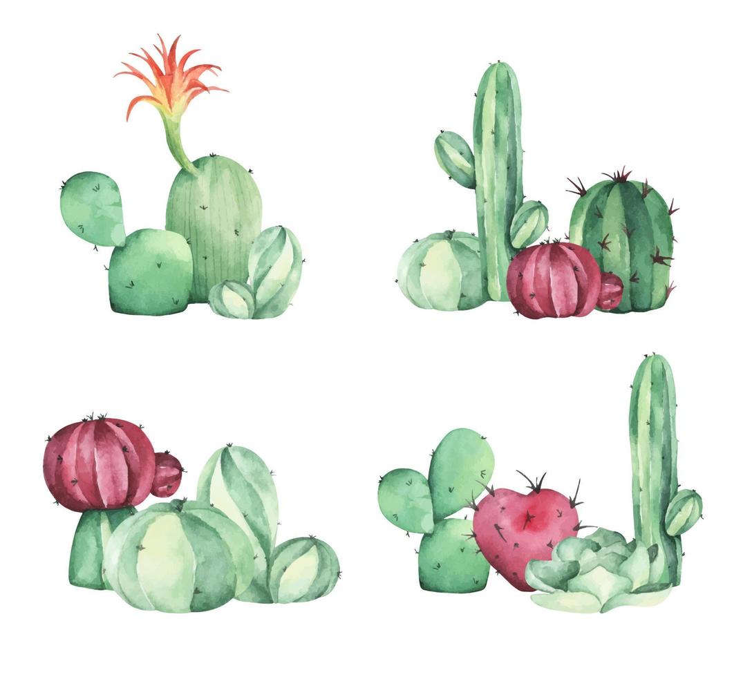 aquarel schilderij van cactussen en vetplanten. vector