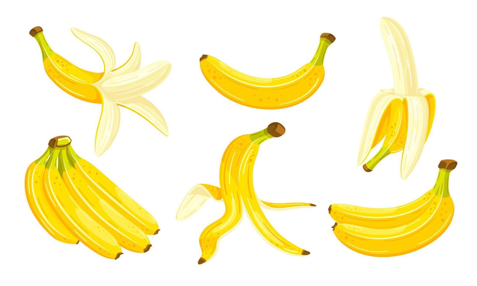 gele bananen geïsoleerd op een witte achtergrond vector