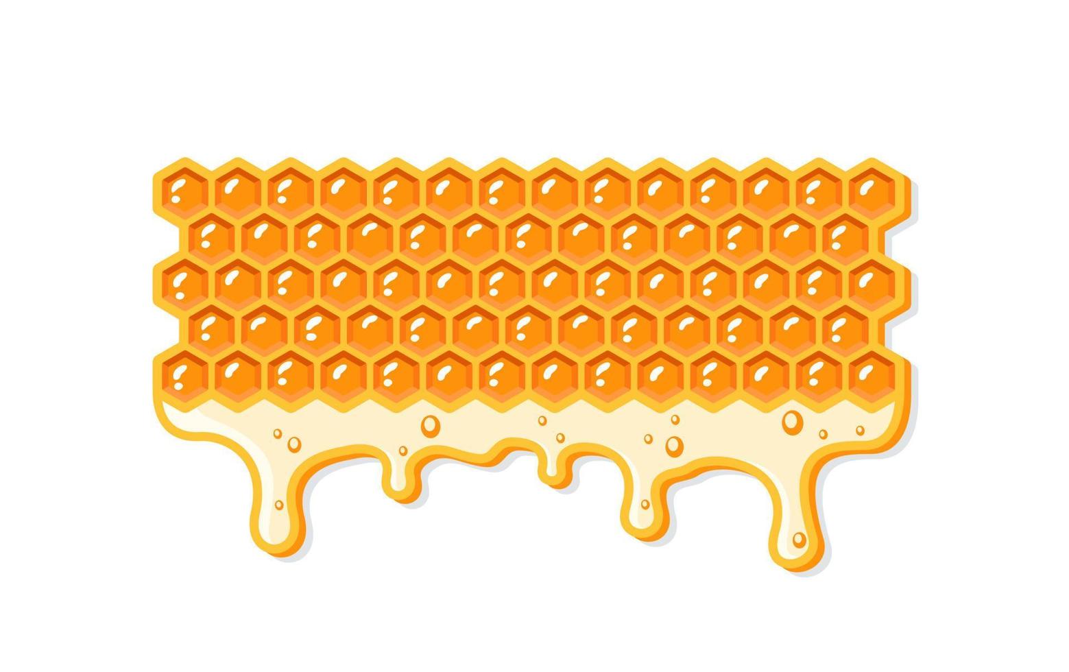 stromen honing met honingraat vector