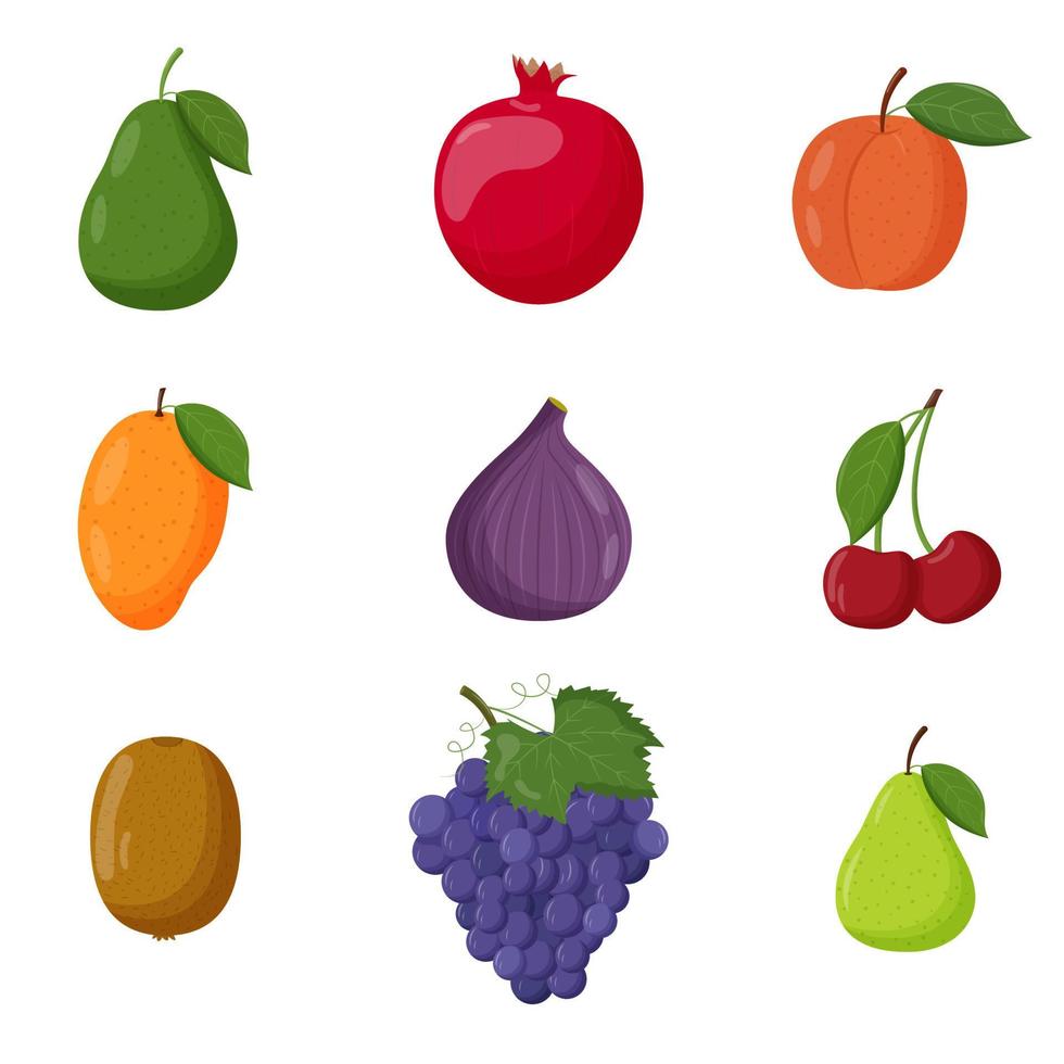 set van fruit. vegetarisch eten, gezond eetconcept. avocado, granaatappel, perzik, mango, vijg, kers kiwi druif peer platte vectorillustratie vector