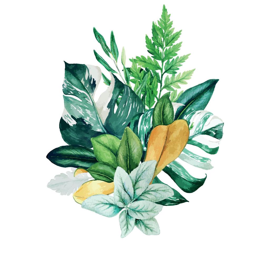 kruidenwaterverfboeket met varens en monstera, met de hand getekende aquarel vectorillustratie vector