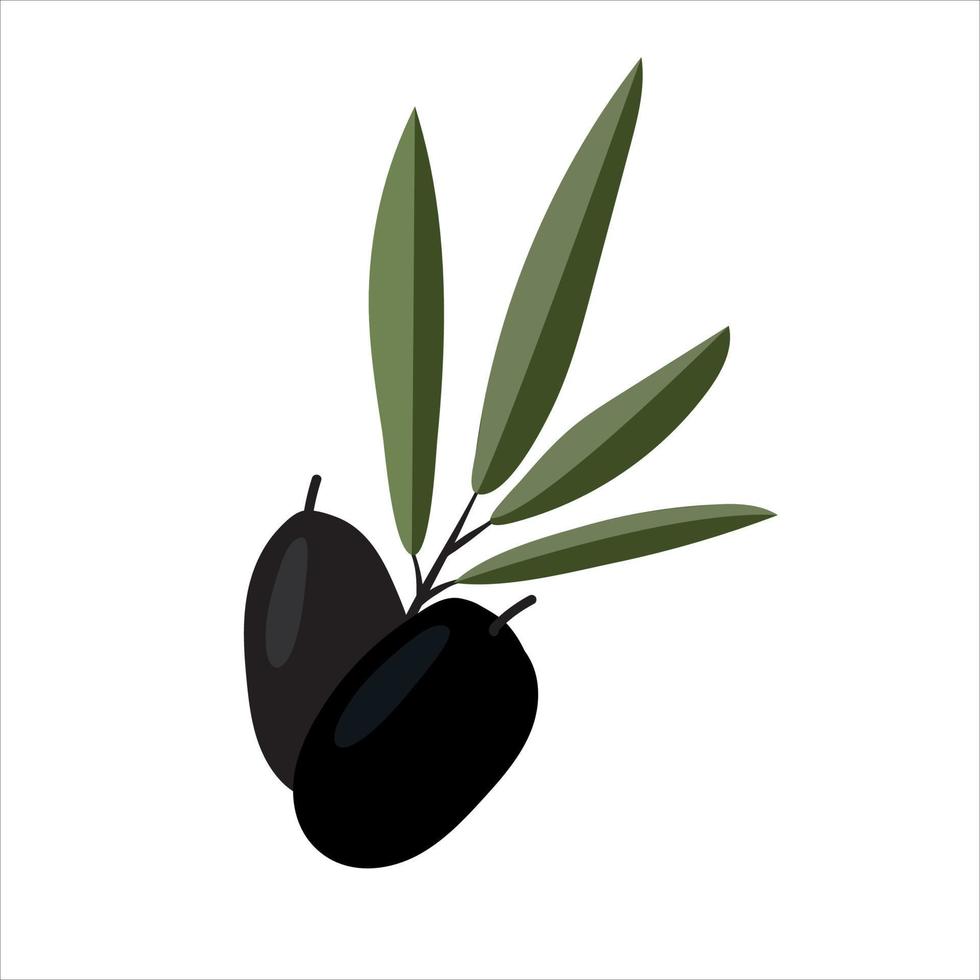 vectorillustratie van olijftak vector