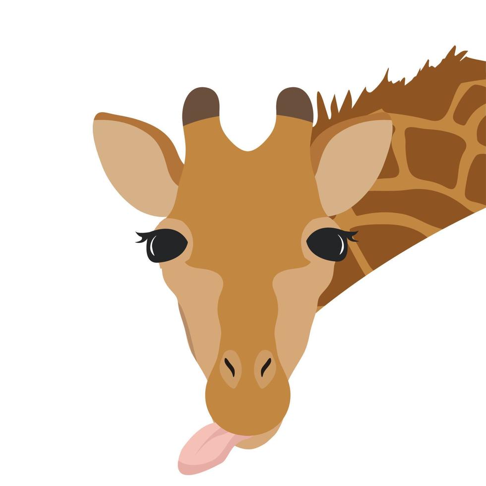 schattig, giraffe, hoofd, geïsoleerde, op wit, achtergrond vector