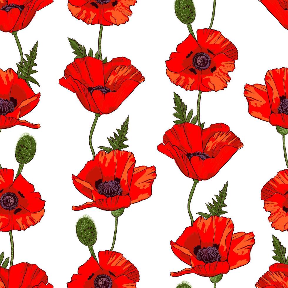 naadloze patroon met hand getrokken wilde rode papaver bloemen geïsoleerd op een witte achtergrond. ontwerpelement voor textiel, stoffen, inpakpapier of behang. vectorillustratie. vector