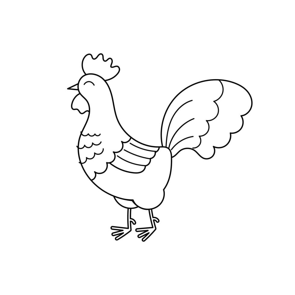 schattige contour doodle haan. boerderijdieren en birds.illustration voor kinderen kleurboek. vector geïsoleerd op witte achtergrond