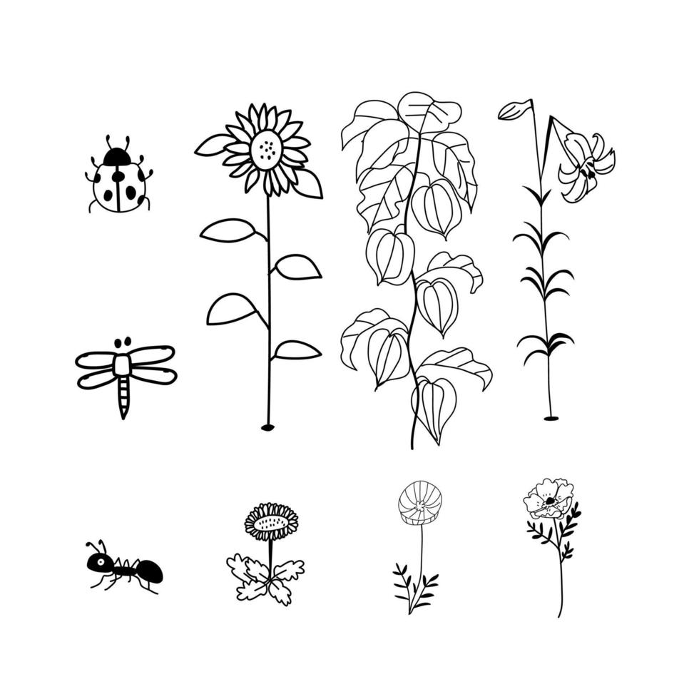 bloemen en insecten vector