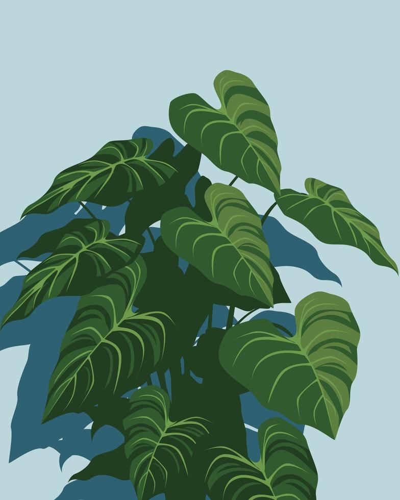 esthetische anthurium vector planten poster plat ontwerp om af te drukken