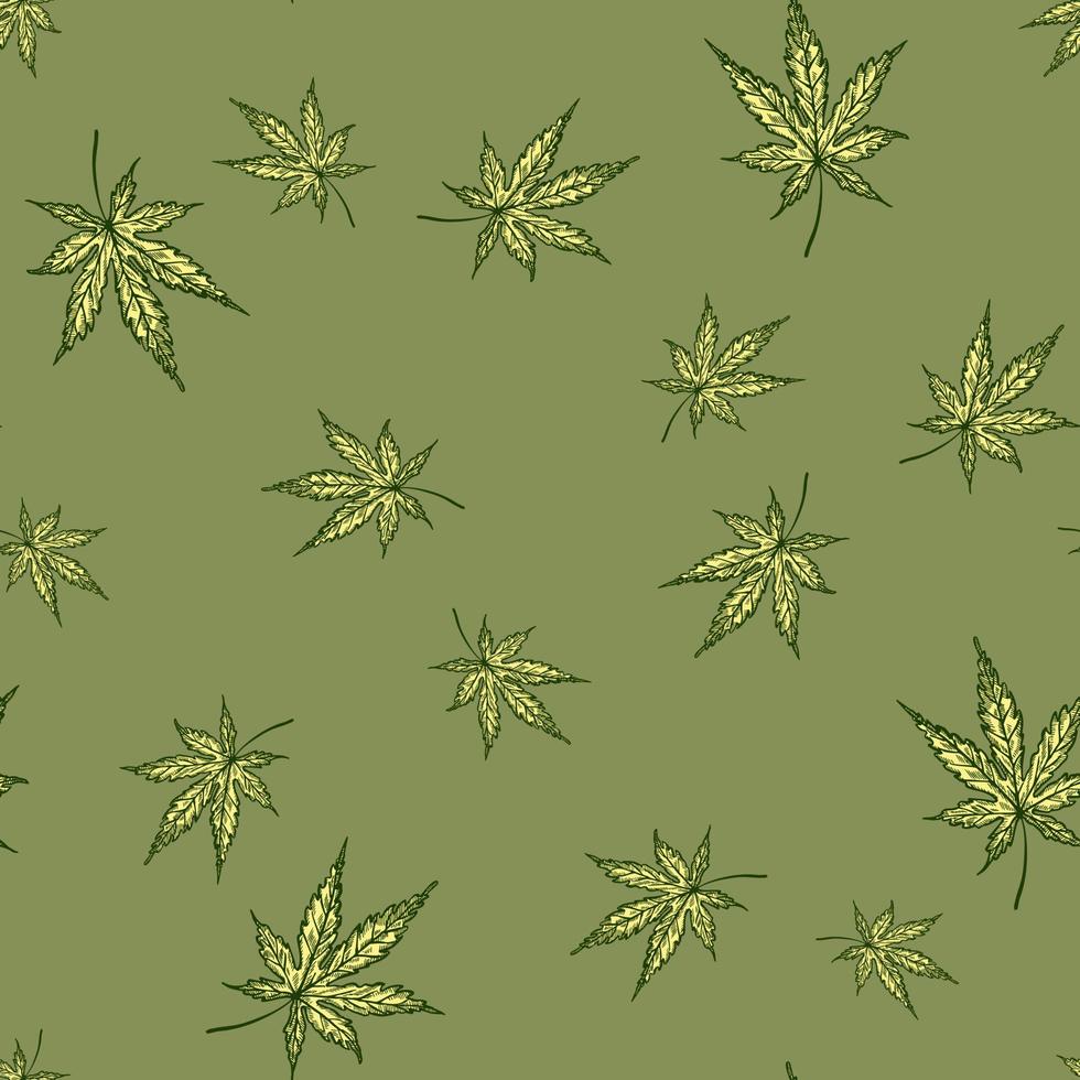 laat cannabis gegraveerd naadloos patroon achter. retro botanische achtergrond met bladmarihuana in de hand getekende stijl. vector