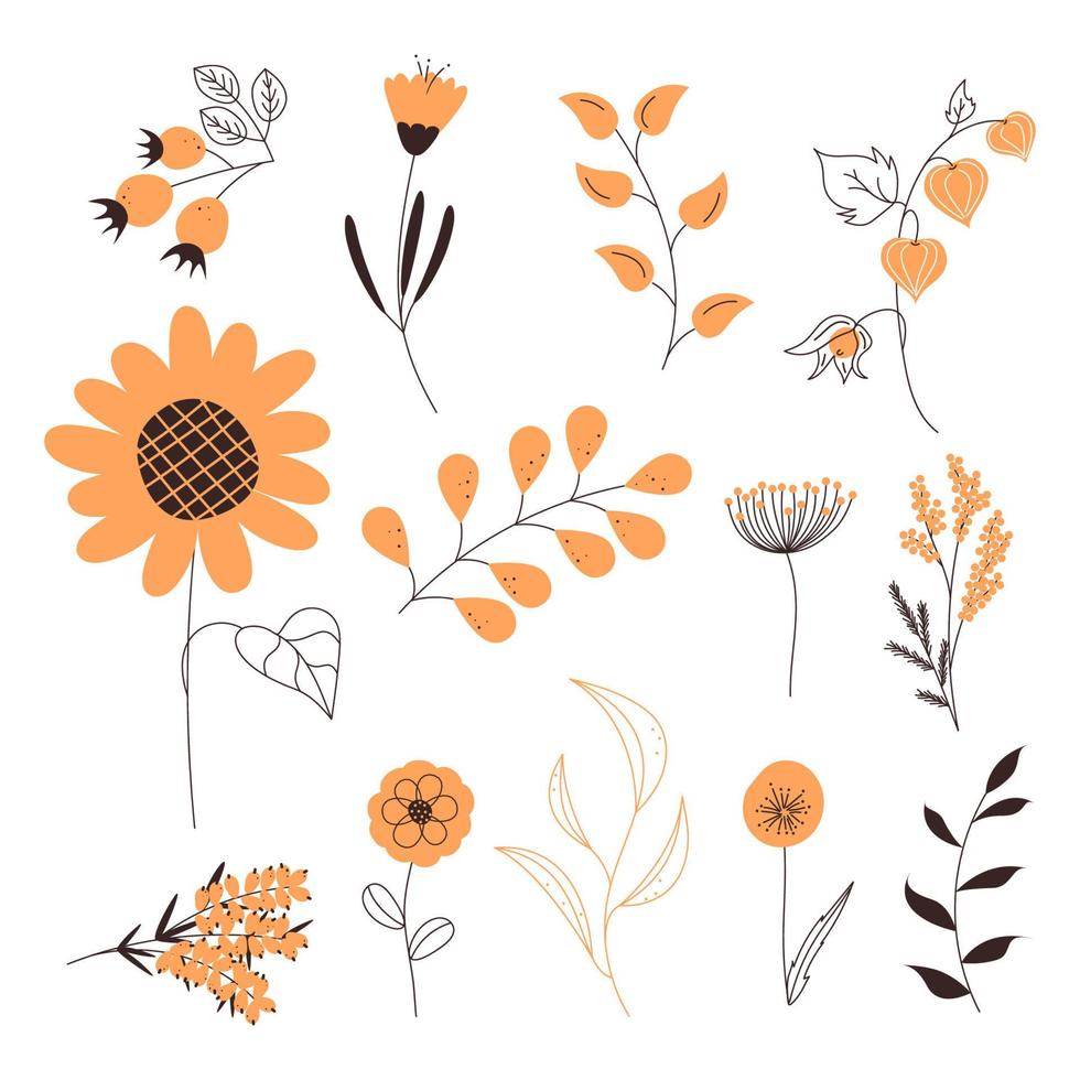 vector set bloemen en planten in oranje kleur