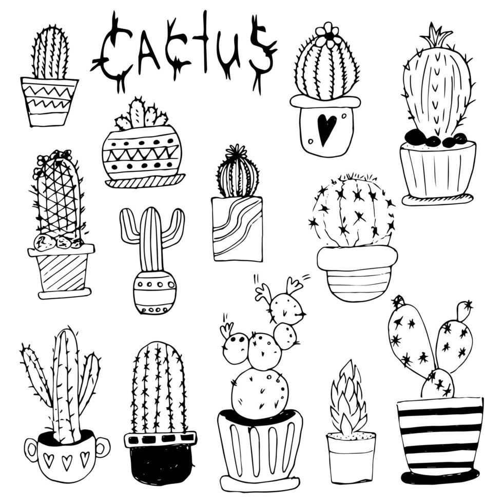 set vector doodle cactus