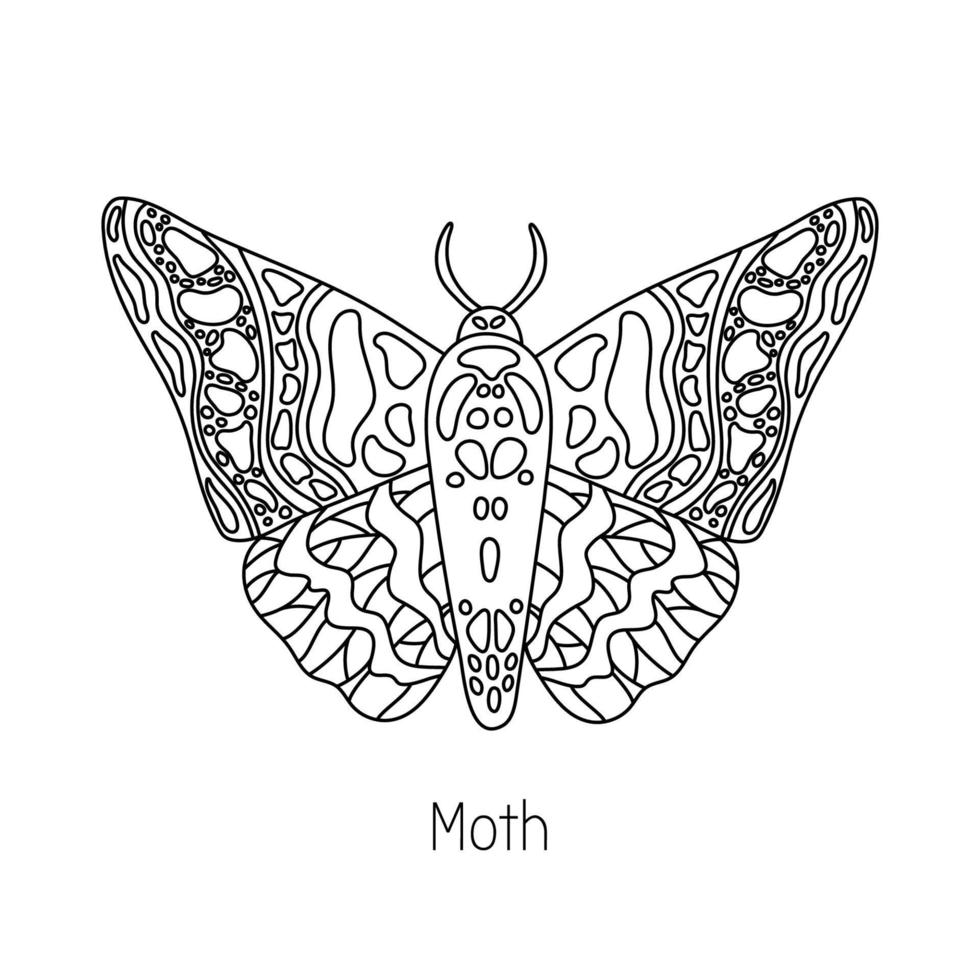 exotische vlinder, mot. tropische vliegende insecten lijn kunst vector hand getrokken geïsoleerde illustratie. gestileerd mystiek ontwerpelement voor tatoeage, print, omslag, boek, kleurplaat