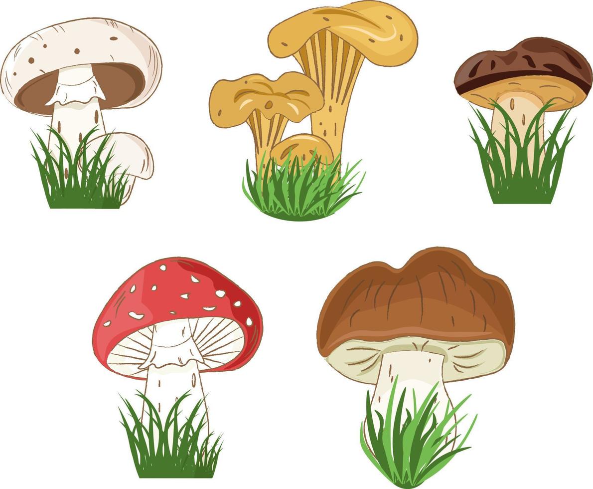 set van verschillende paddenstoelen in het gras vector
