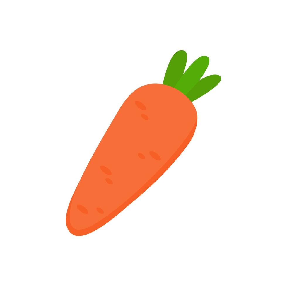 oranje wortelen. een vrucht die rijk is aan vitamines. voor gezond koken vector