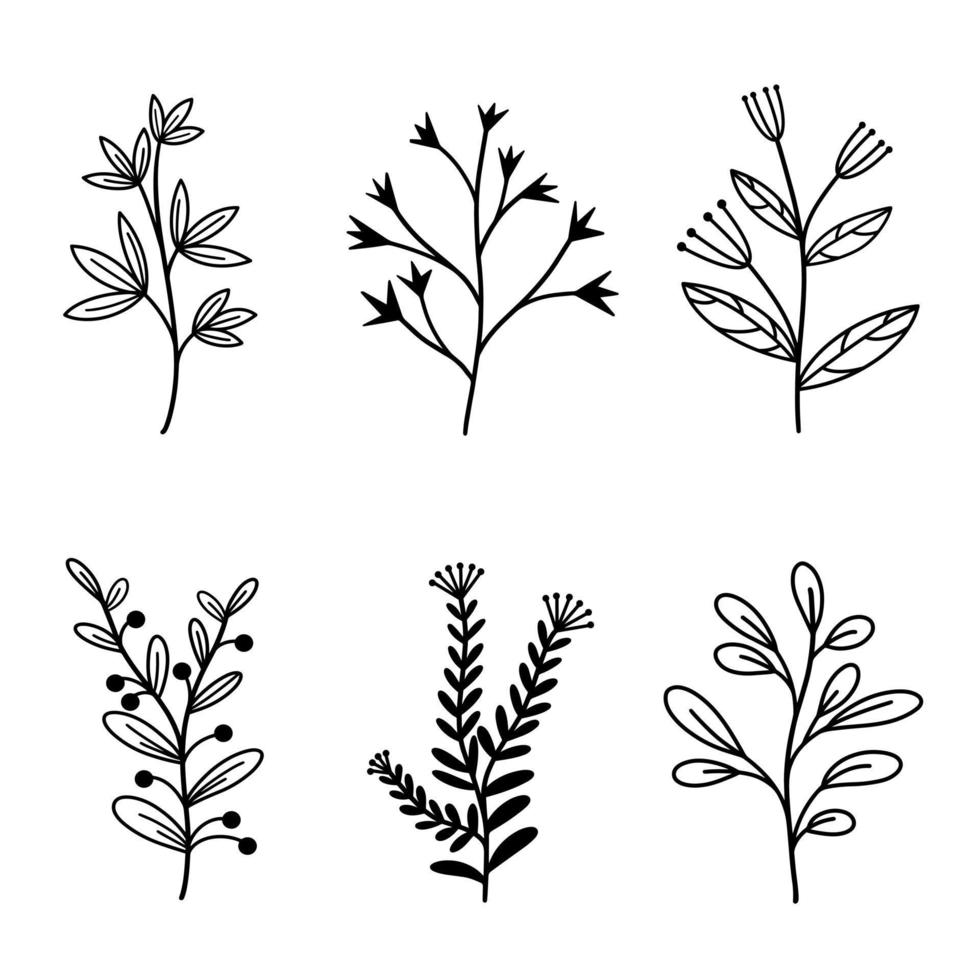 set van vector natuurlijke elementen takken met bladeren en wilde kruiden. handgetekende planten in doodle stijl. botanische elementen met bessen en bloeiwijzen. geïsoleerde bloemen op witte achtergrond