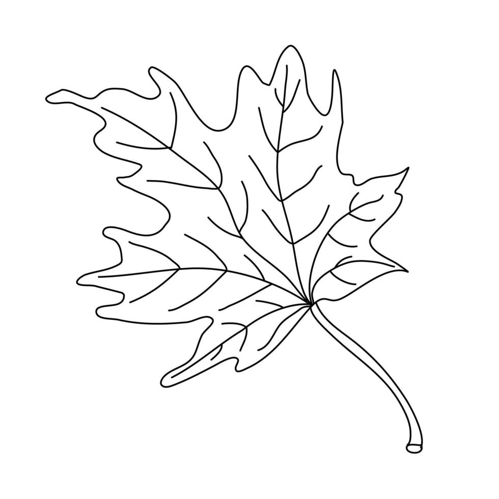 esdoornblad in doodle stijl. geïsoleerde zwarte omtrek. vector
