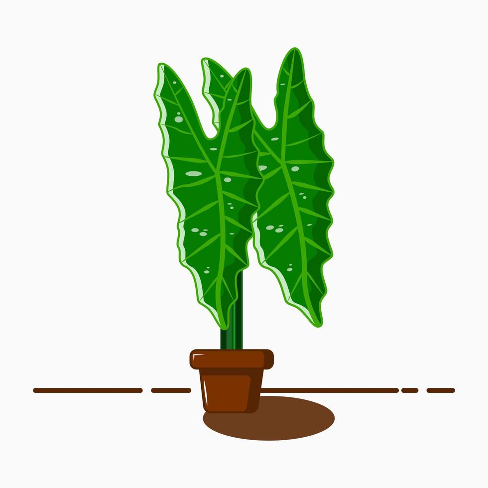 caladium vectorillustratie. mooi, groen en fris. geweldig voor decoratie vector