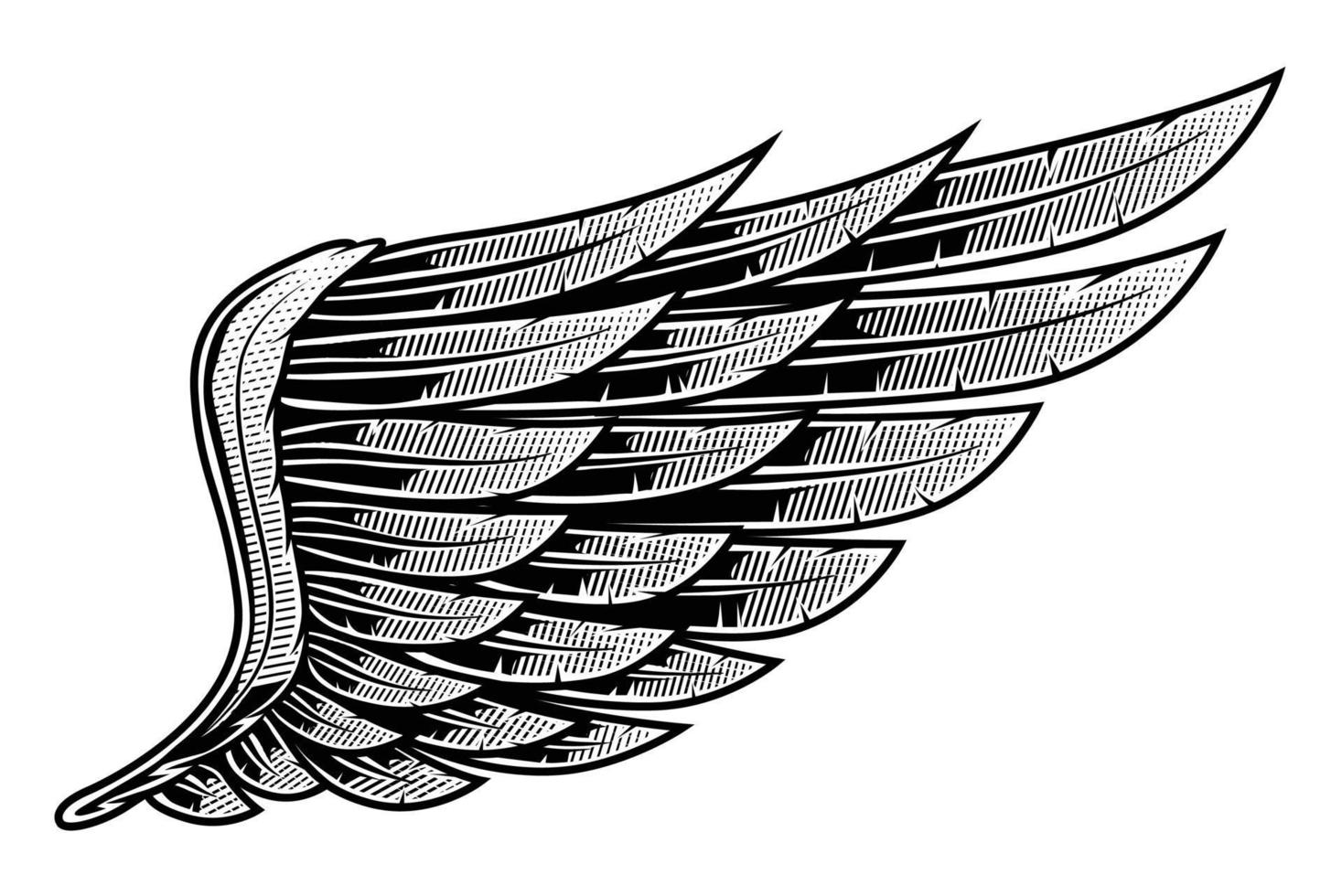 vleugel illustratie vleugel vector