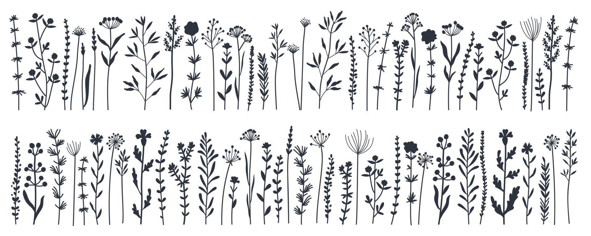 zwarte silhouetten tuin en wild gebladerte, bloemen, takken vector illustratie