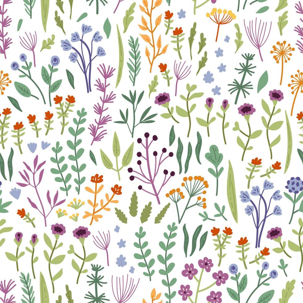 vector naadloos patroon met hand getrokken wilde planten, kruiden en bloemen, kleurrijke botanische illustratie,