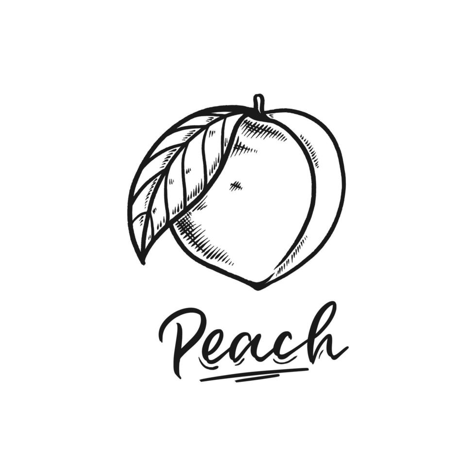 perzik fruit doodle set hand getekende illustratie vector