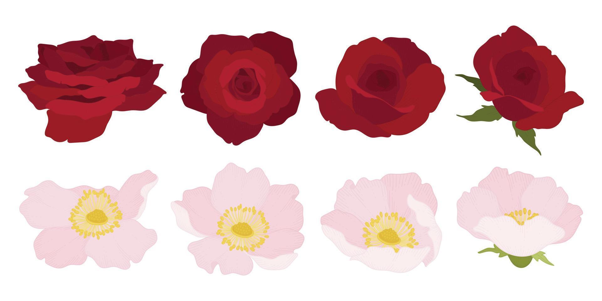 set van kleurrijke bloeiende bloemen illustratie. vector