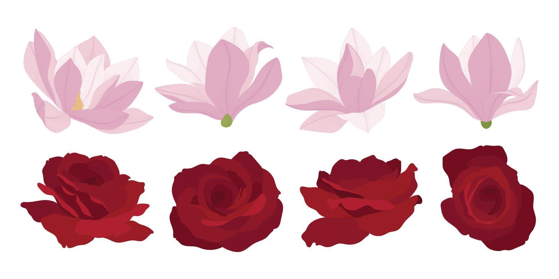 set van kleurrijke bloeiende bloemen illustratie. vector