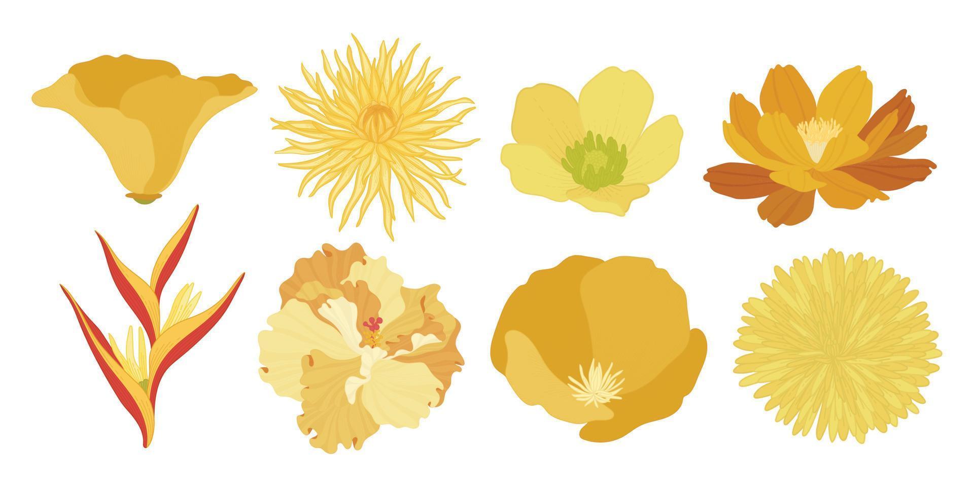 set van kleurrijke bloeiende bloemen illustratie. vector