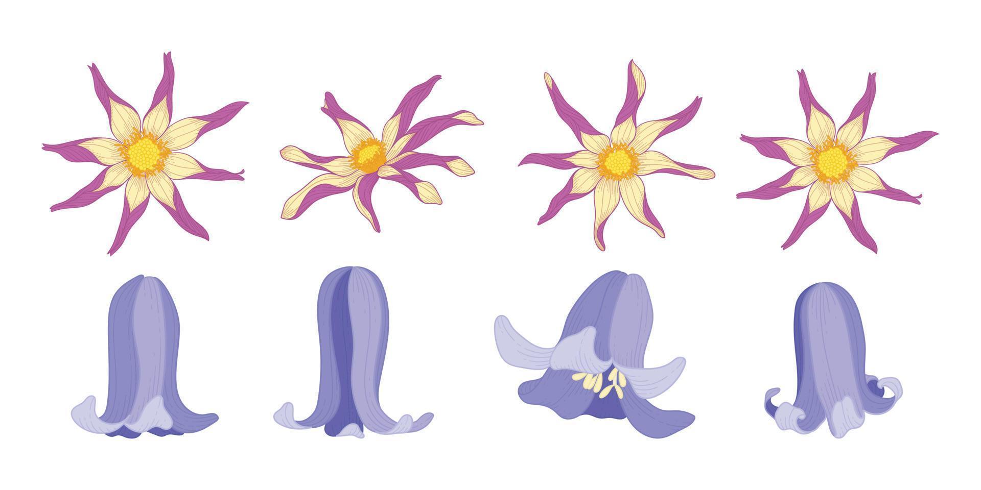 set van kleurrijke bloeiende bloemen illustratie. vector