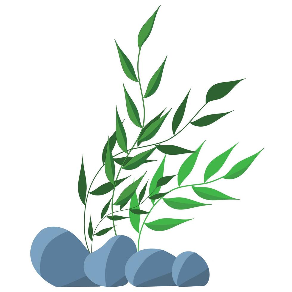 vectorillustratie van groene algen met ronde bladeren op een witte achtergrond. vector