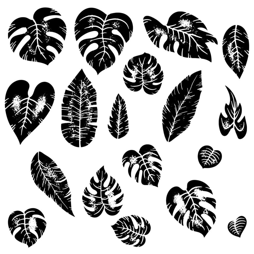 set vintage inktstempel van tropische exotische bladeren van verschillende soorten. jungle planten. hibiscus, monstera en palmbladeren. grunge zwarte botanische vectorillustratie geïsoleerd op een witte achtergrond. vector