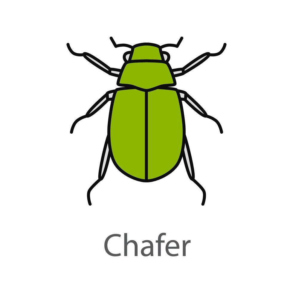 Europees chafer kleur icoon. meloentha. juni bug. geïsoleerde vectorillustratie vector