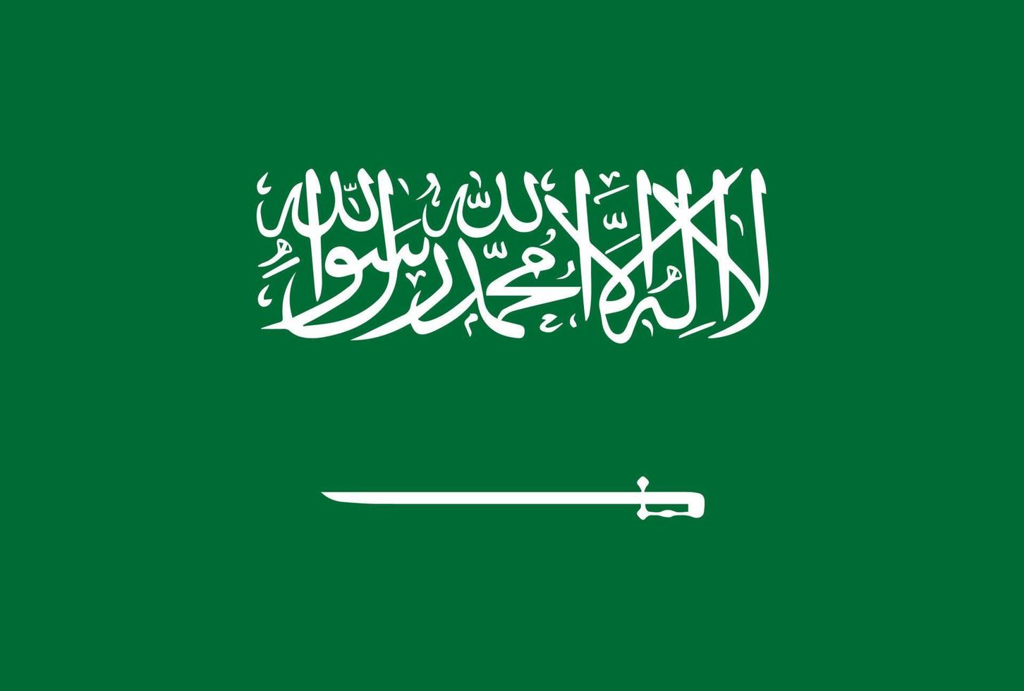 saudi-arabië vlag vector pictogram in officiële kleur en juiste verhoudingen